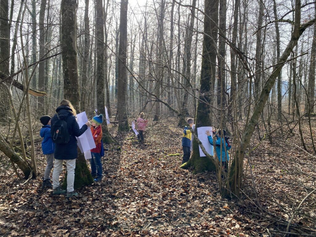 Kinder stehen im Wald an Bäumen und zeichnen